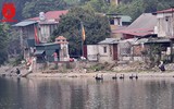 Đàn thiên nga ở hồ Thiền Quang vẫn có nguy cơ bị thương do lưỡi câu